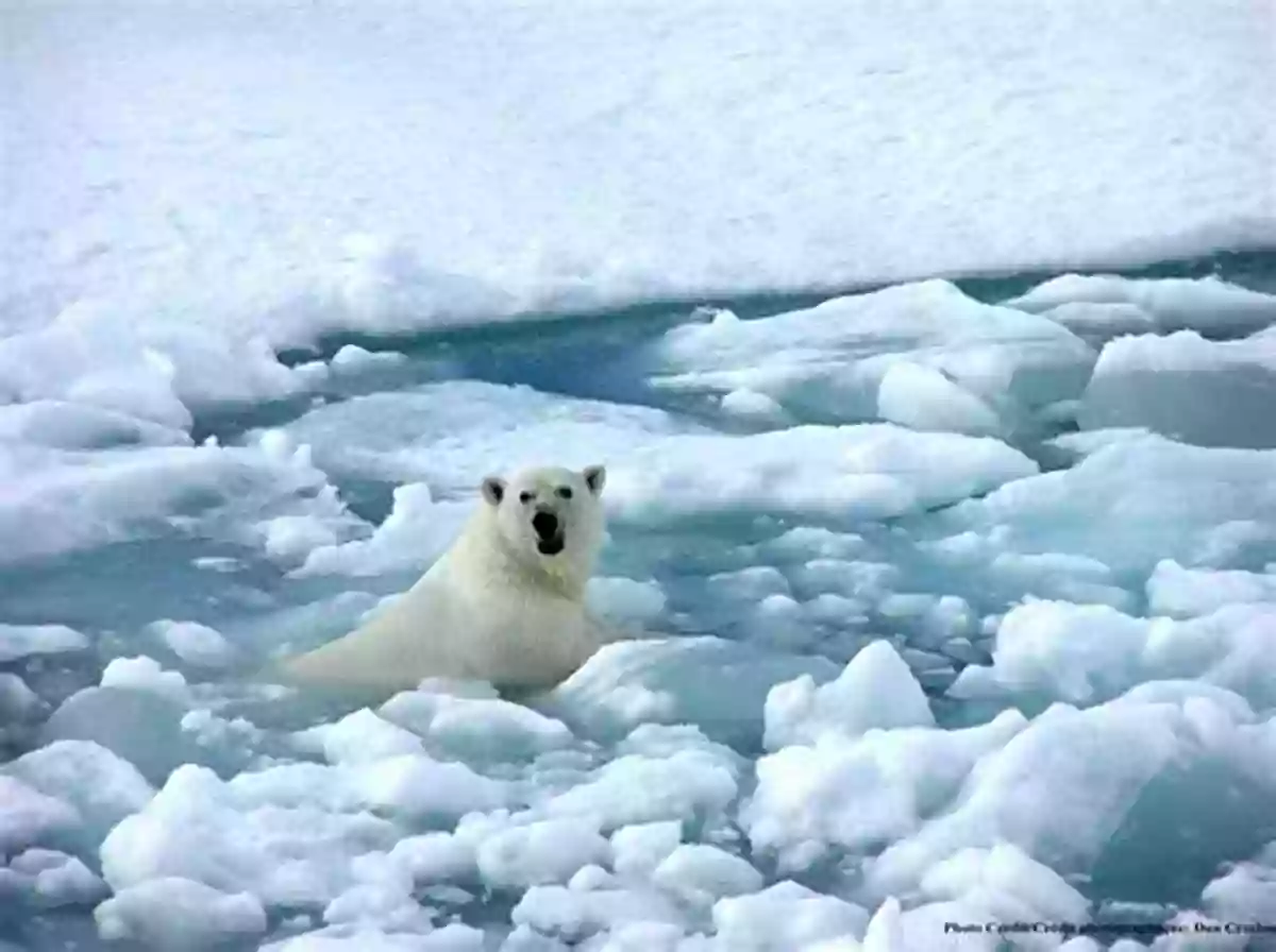 Escaping The Flooding Climate Change Stories A Dual Language English And Italian For All Ages: True Short Stories About Global Warming Effects