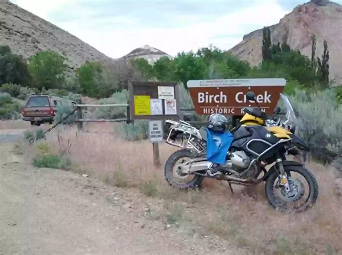 Experience The Thrill Of Horseback Riding At Birch Creek Ranch The Bequest (The Birch Creek Ranch 1)