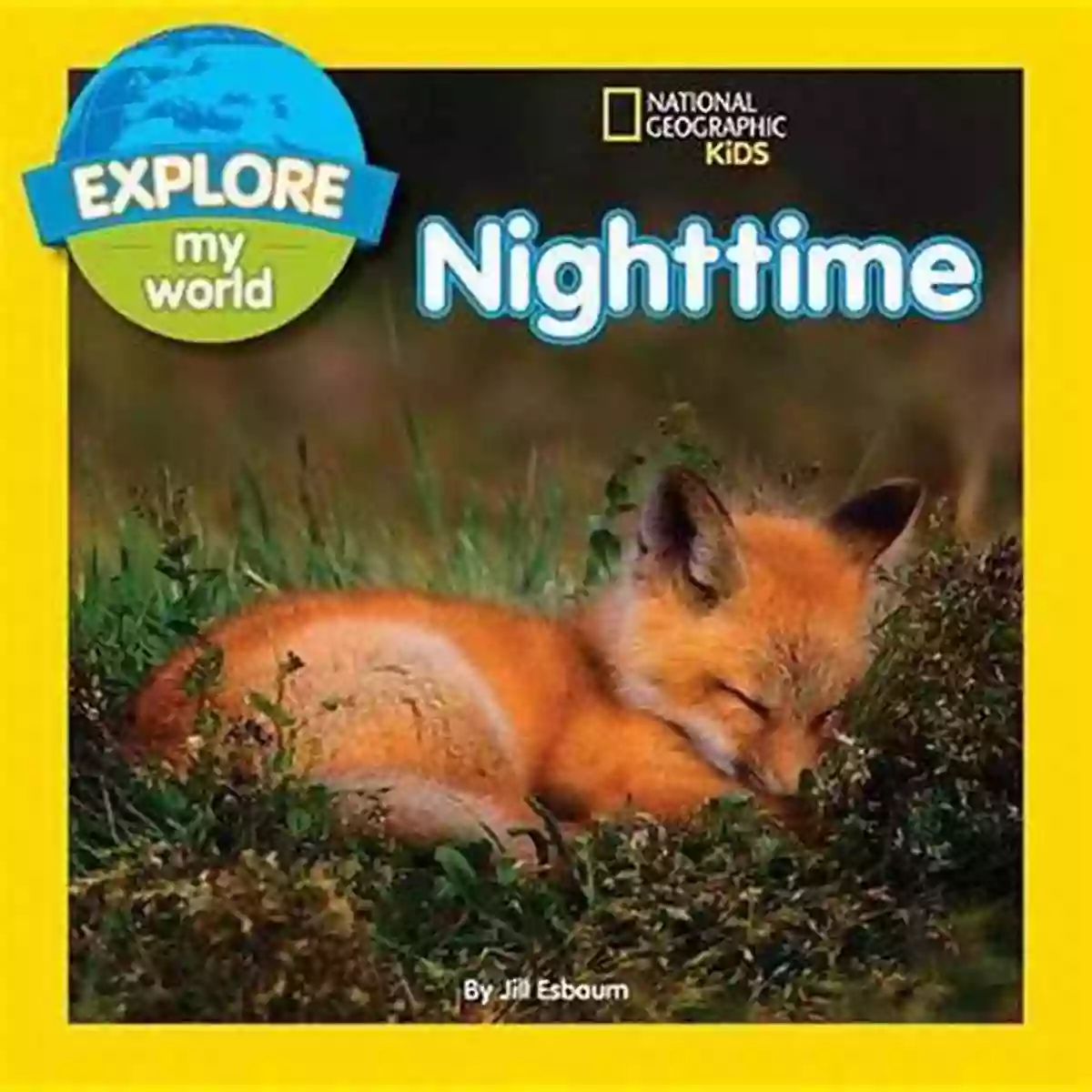 Explore My World Nighttime Jill Esbaum