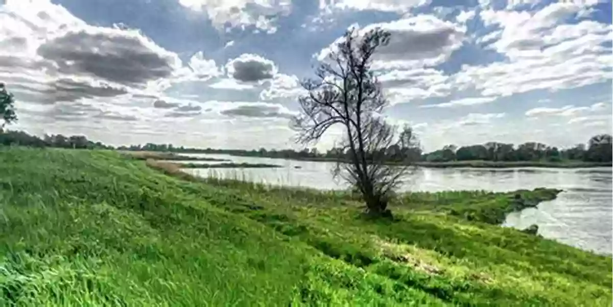 Explore The Mesmerizing Beauty Of Polish River Basins And Lakes Polish River Basins And Lakes Part II: Biological Status And Water Management (The Handbook Of Environmental Chemistry 87)