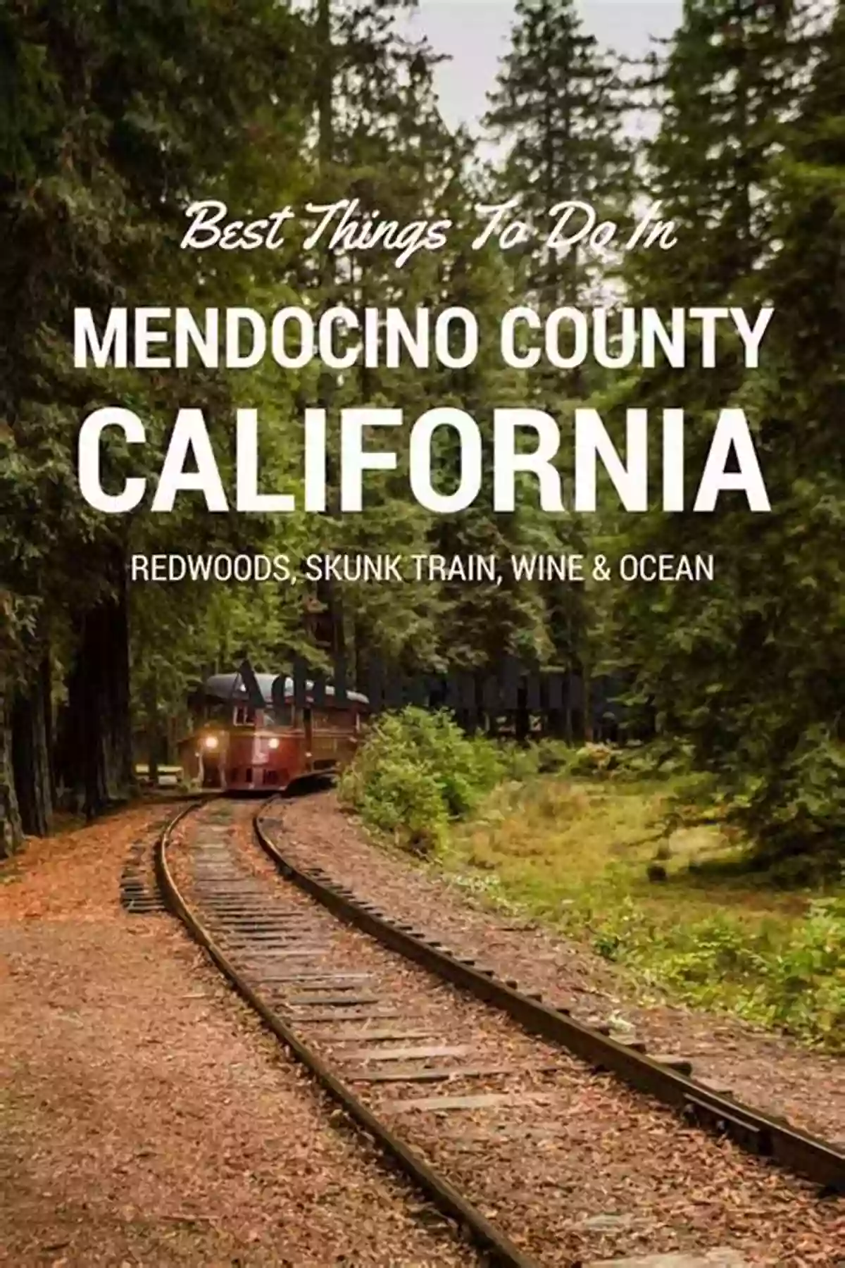 Explore The Rich History Of Mendocino County's Mines Mines Of The American West Mendocino County California: First Edition Volume CA23 (Mines Of California)