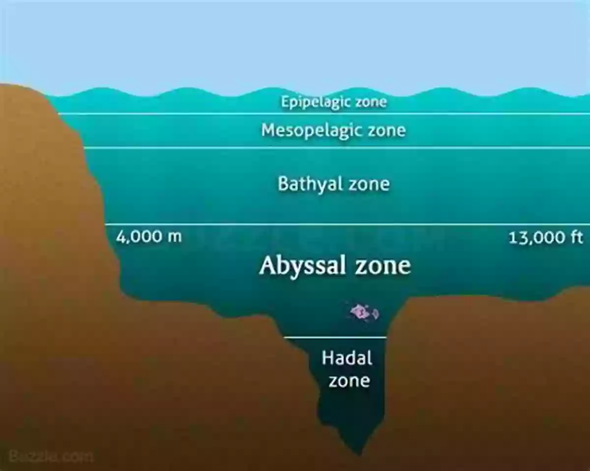 Exploring The Mysterious Abyssal Zone In The Ocean W Is For Waves: An Ocean Alphabet (Science Alphabet)