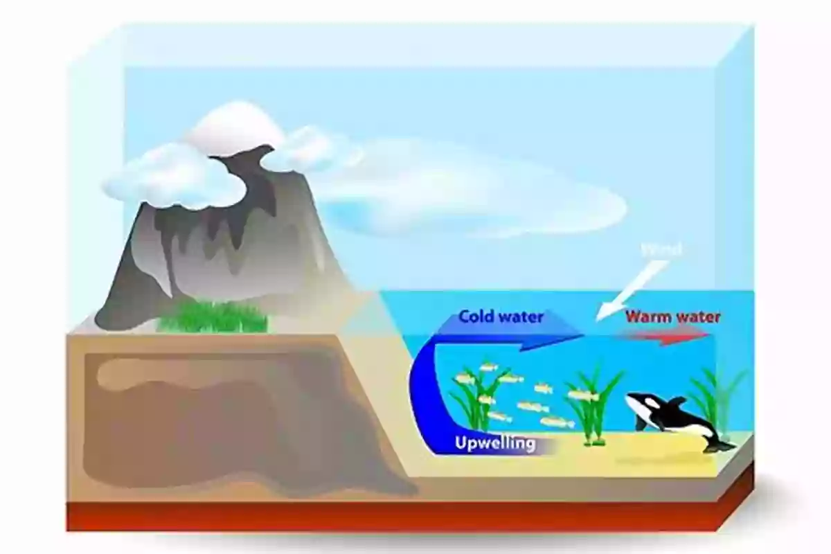 Exploring The Phenomenon Of Upwelling W Is For Waves: An Ocean Alphabet (Science Alphabet)