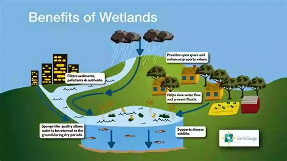 Exploring The Depths Of Wetlands For Environmental Management Wetland Carbon And Environmental Management (Geophysical Monograph Series)