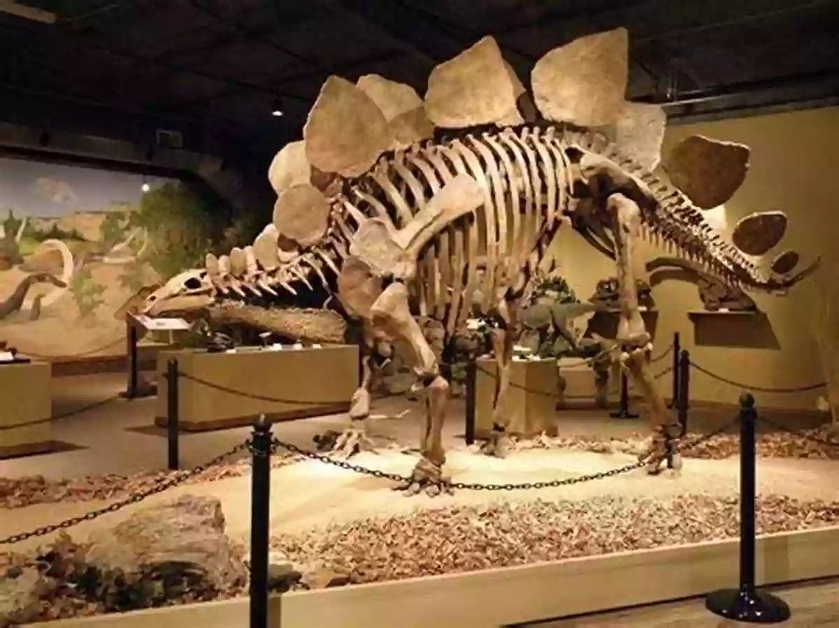 Fascinating Dinosaur Fossil On Display IOpener: A Guide To Rocks And Minerals