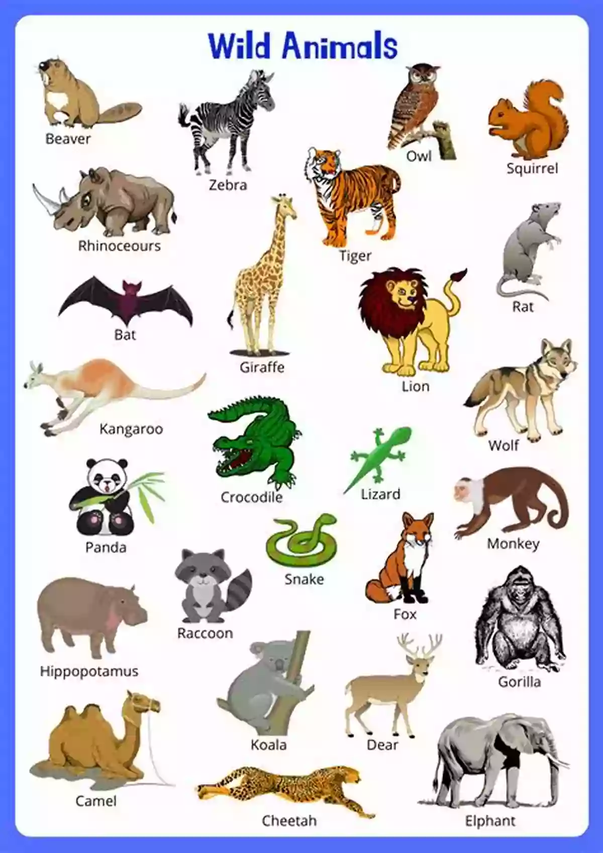 Flashcards With Images Of Animals And Their Corresponding English Words Get Your Children Start Learning English To Talk Using The Five Measure Tools At Home (Japanese Edition)