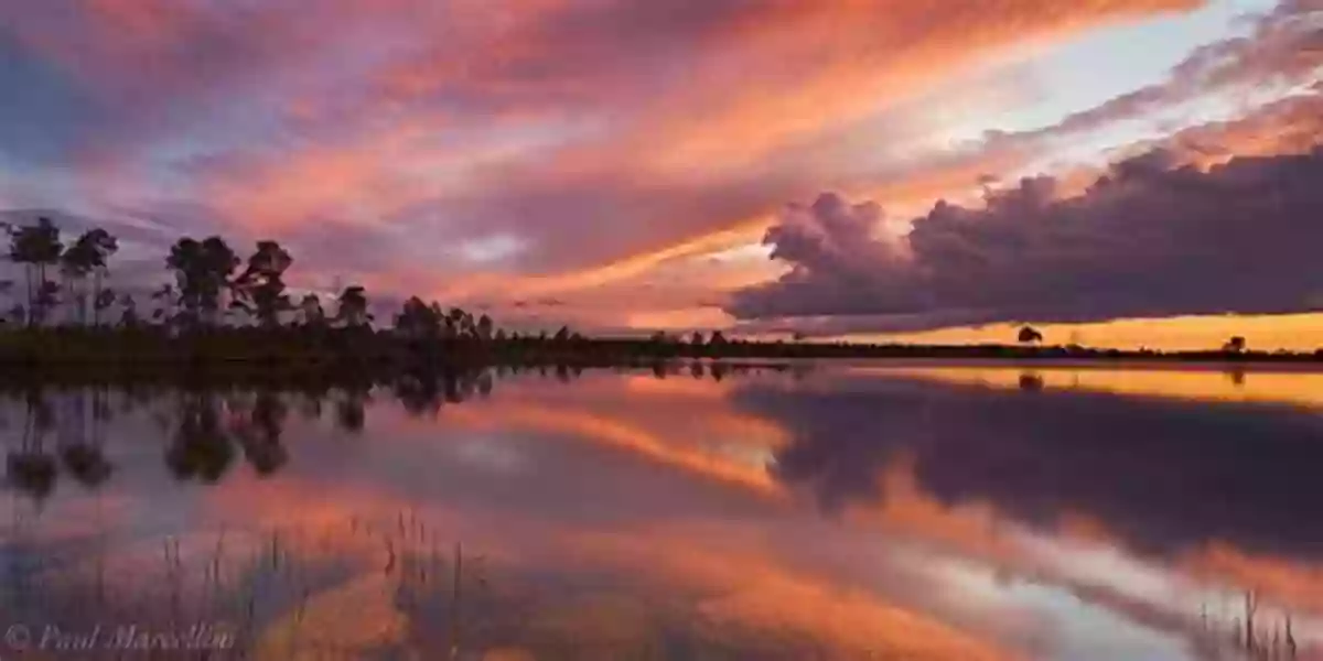 Flowing Water In The Natural Beauty Of The Everglades Moving Water: The Everglades And Big Sugar