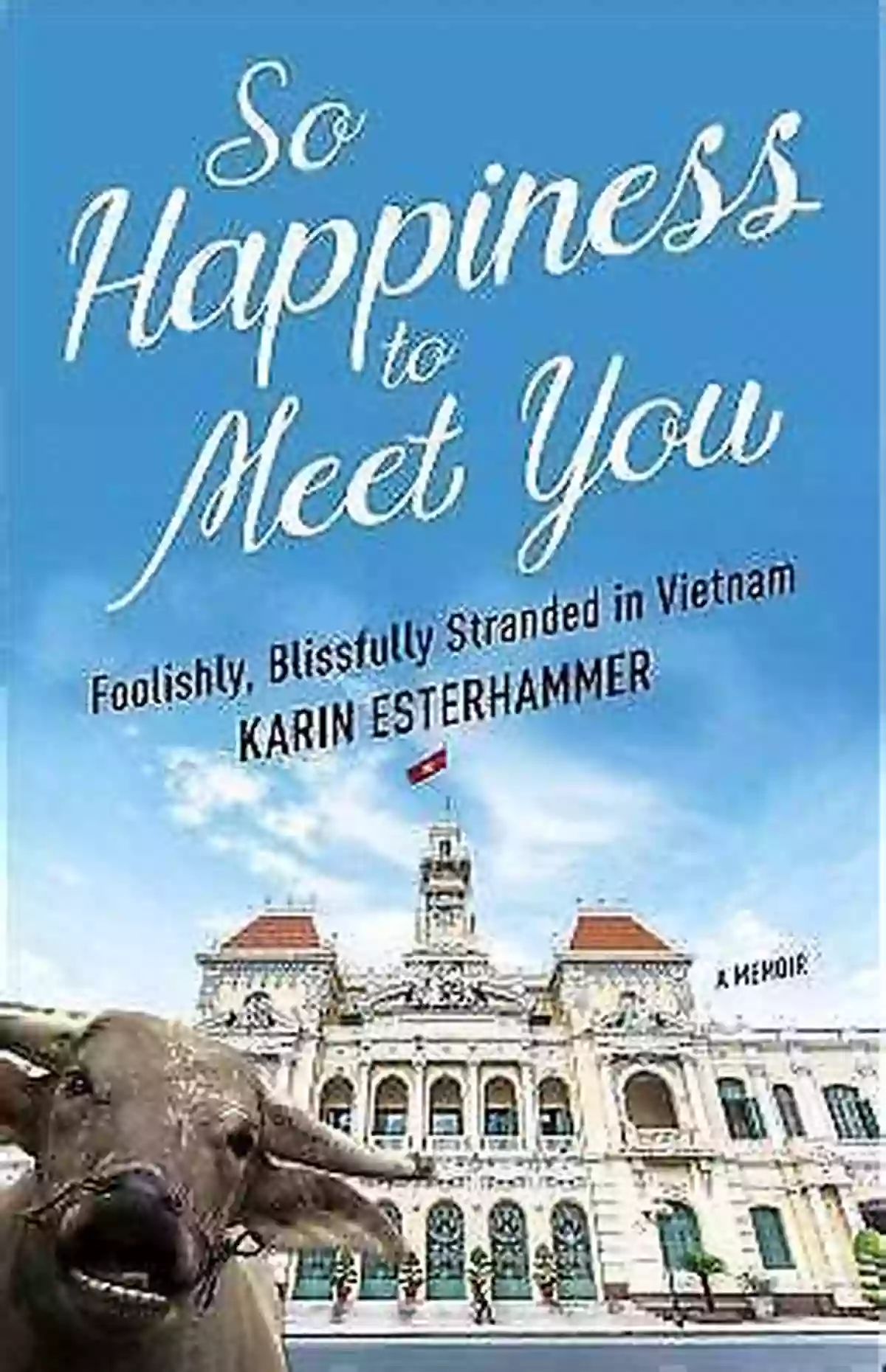 Foolishly Blissfully Stranded In Vietnam So Happiness To Meet You: Foolishly Blissfully Stranded In Vietnam