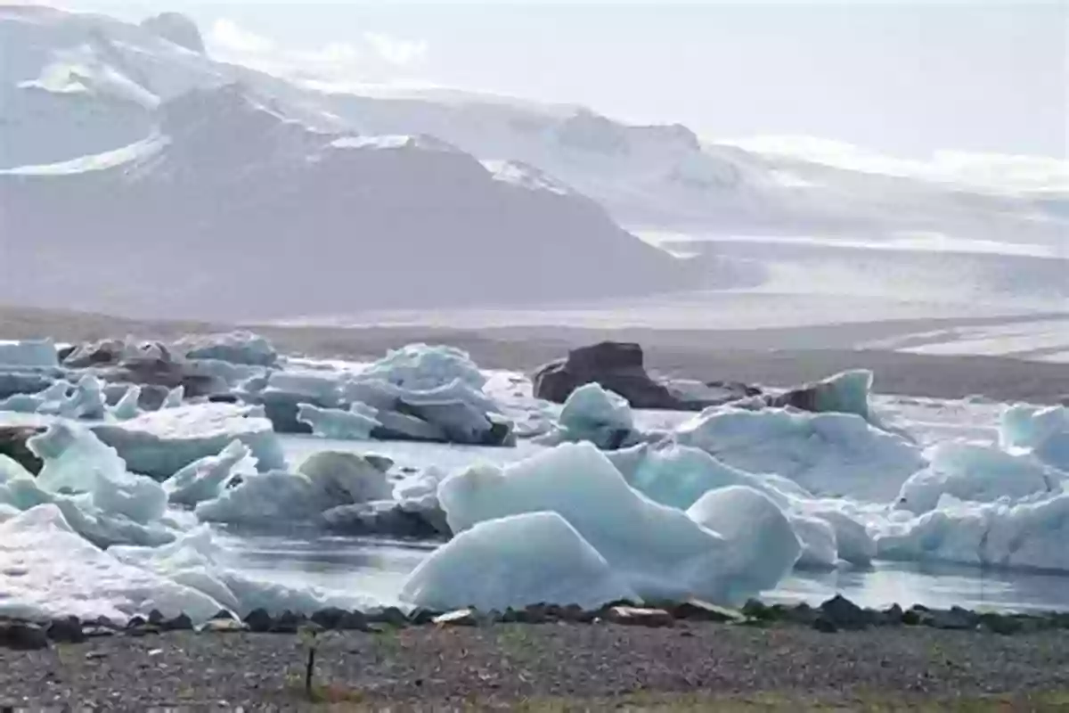 Glacier In The Arctic Glaciers And Glaciation 2nd Edition (Hodder Arnold Publication)