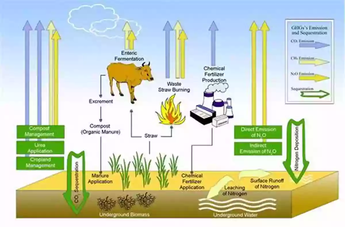 Greenhouse Effect Greenhouse Gas Emissions Fluxes And Processes: Hydroelectric Reservoirs And Natural Environments (Environmental Science And Engineering)