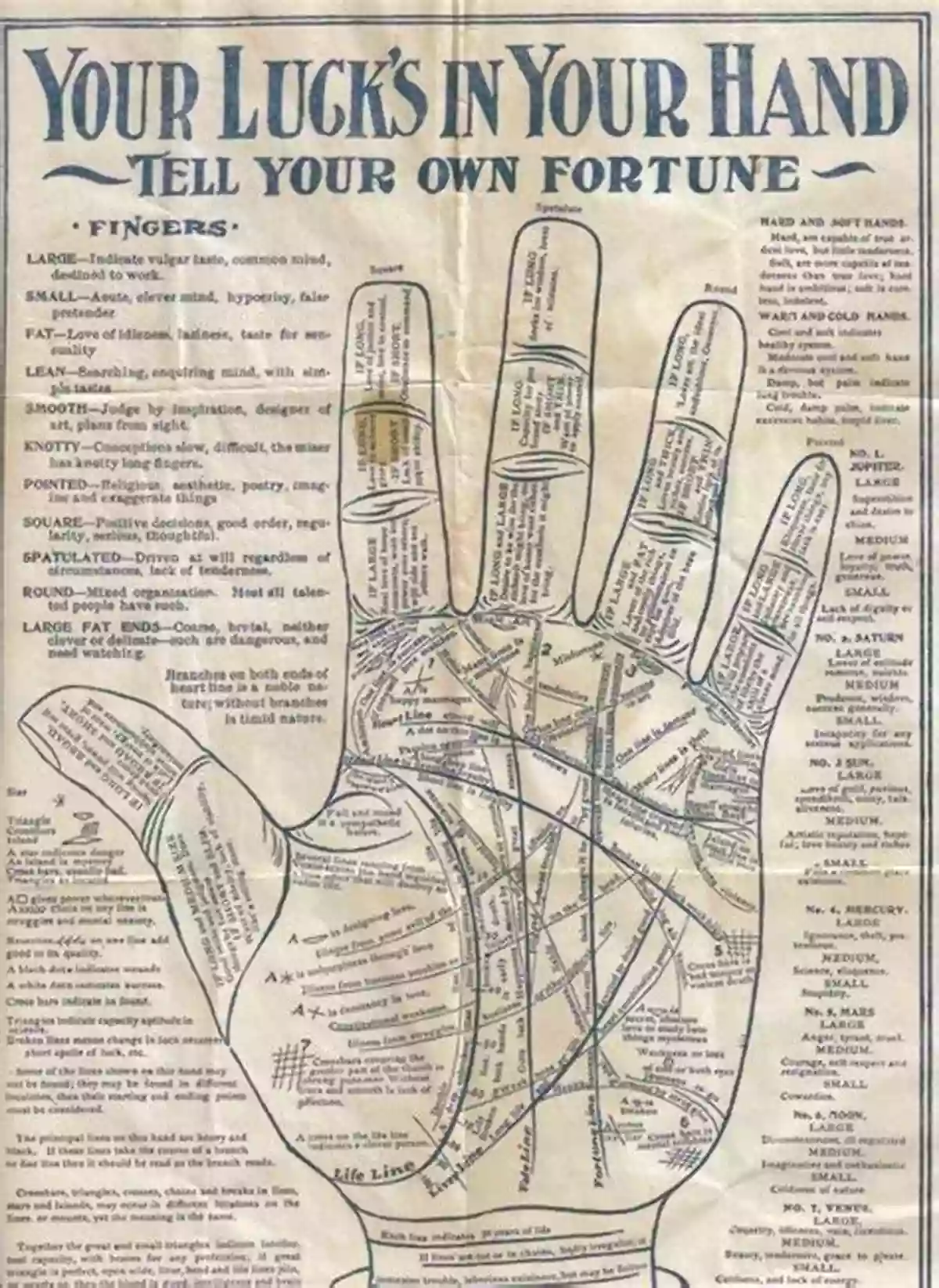 Hand Shape Telling Fortunes With Palmistry: Learn The Art Of Palmistry And Begin Fortune Telling (The Fortune Telling 1)