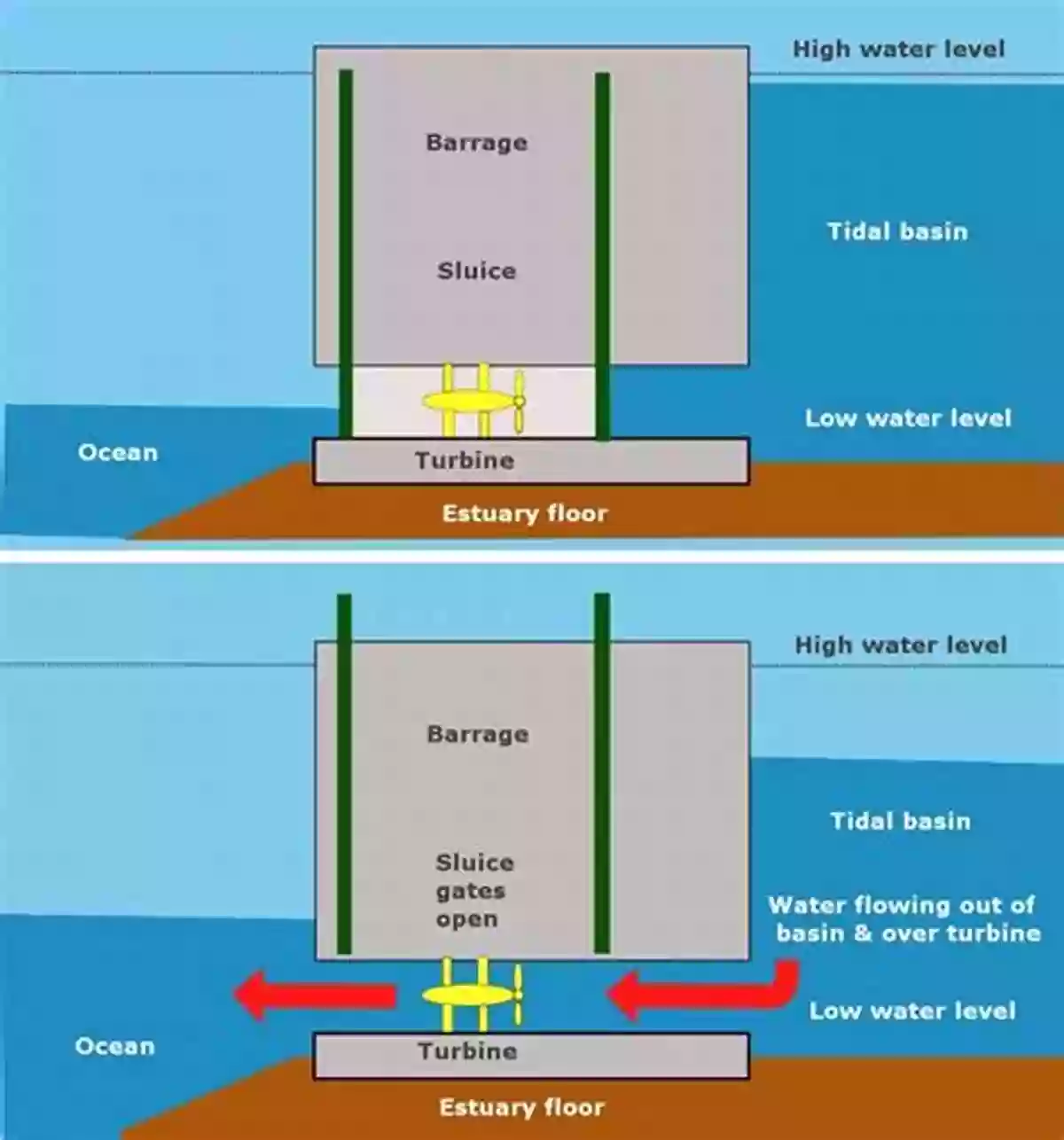 Harnessing The Power Of Tidal Energy W Is For Waves: An Ocean Alphabet (Science Alphabet)