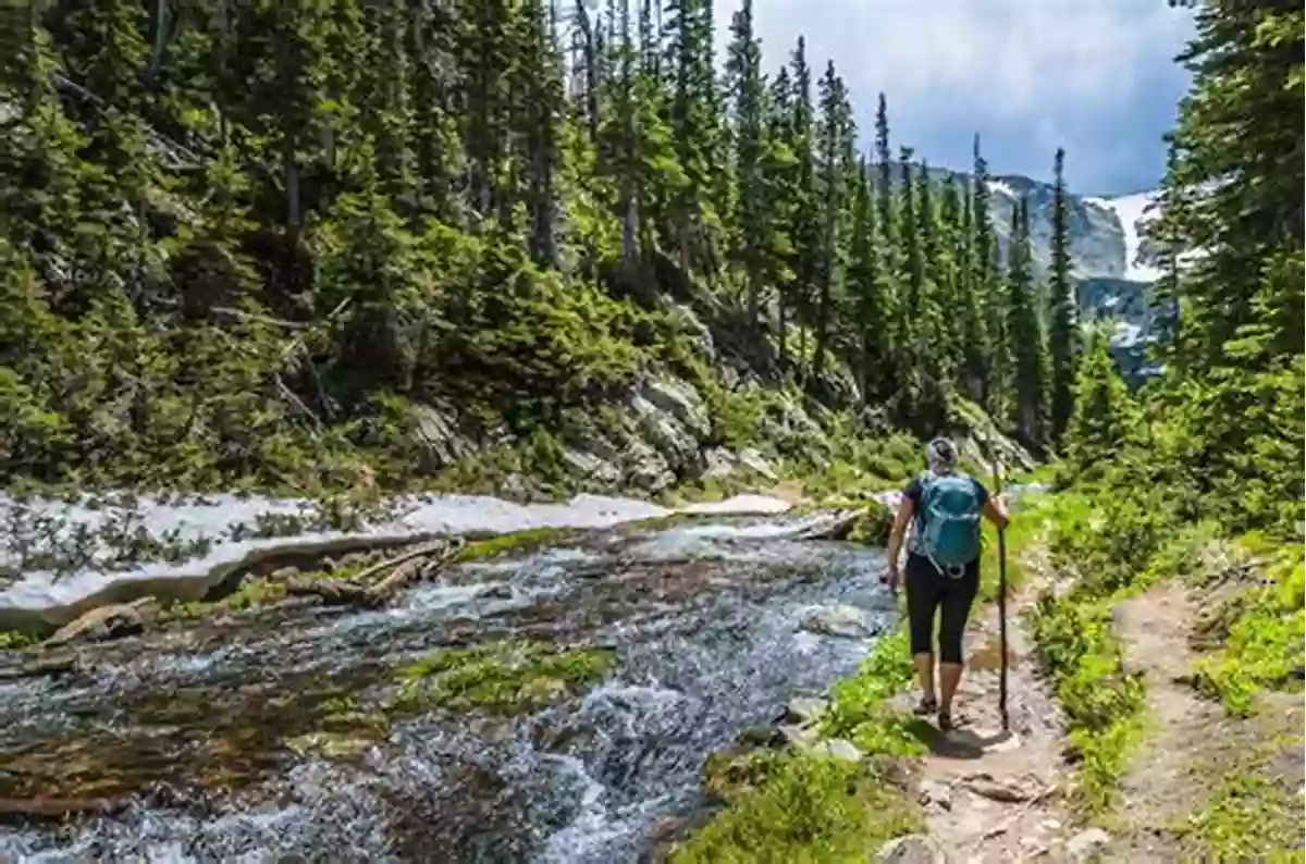 Hiking Along Mountain Trails Walks Of Life: Your Journey Back To Nature