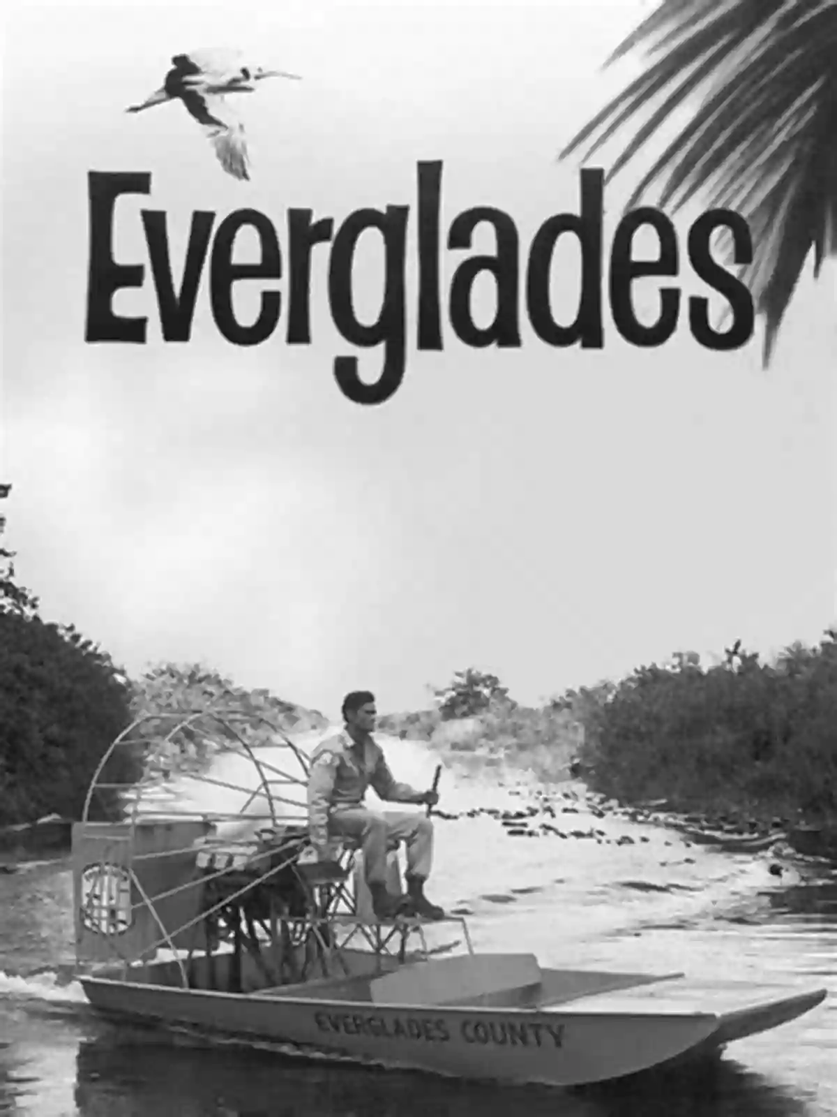 Historical Adventures In The Everglades Escape To The Everglades (Florida Historical Fiction For Youth)