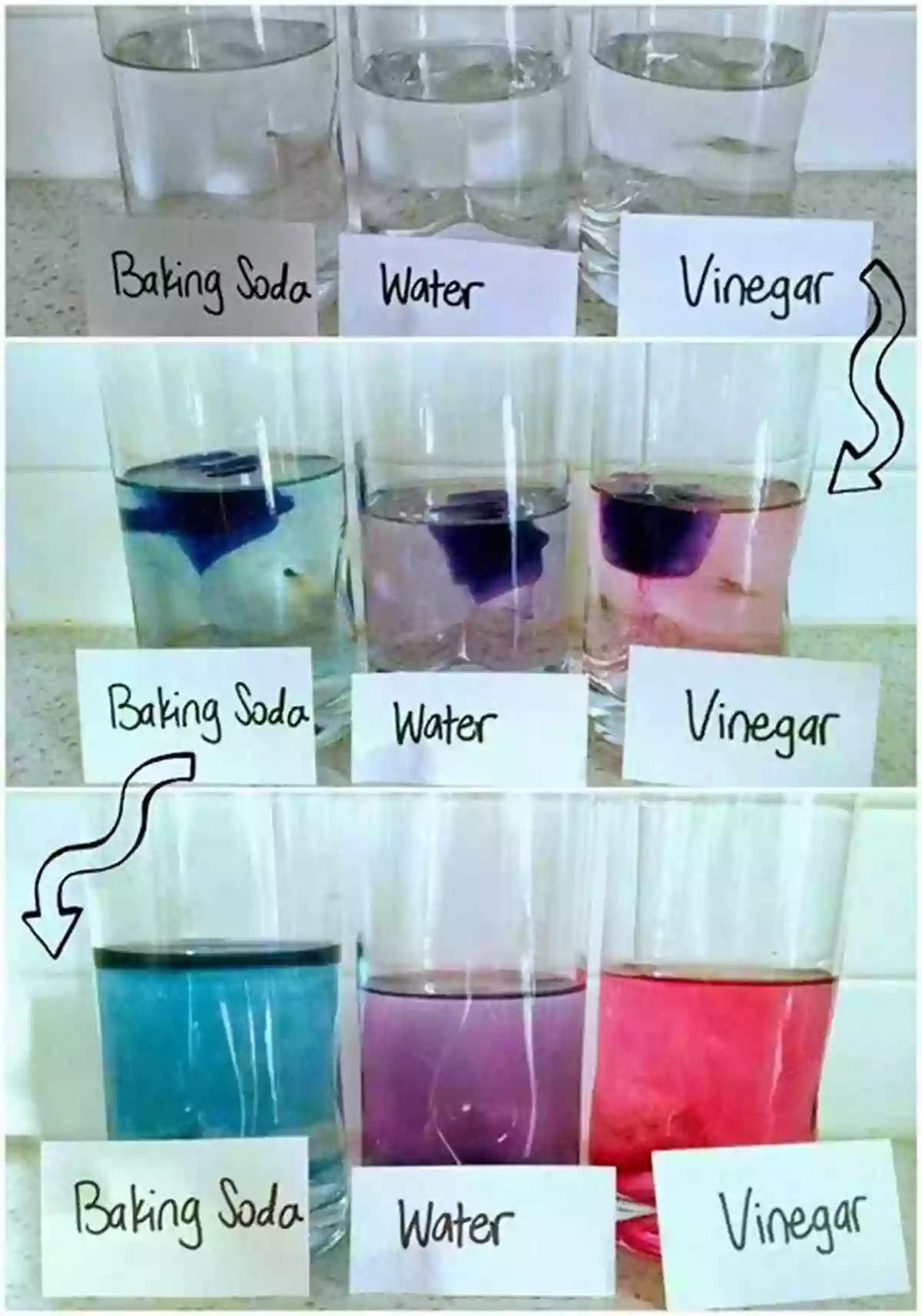 Homemade PH Indicator Experiment 50 Science Experiments To Do At Home: The Step By Step Guide For Budding Scientists Awesome Science Experiments For Kids Ages 5+ STEM Projects And Why They Work Awesome STEAM Activities For Kids