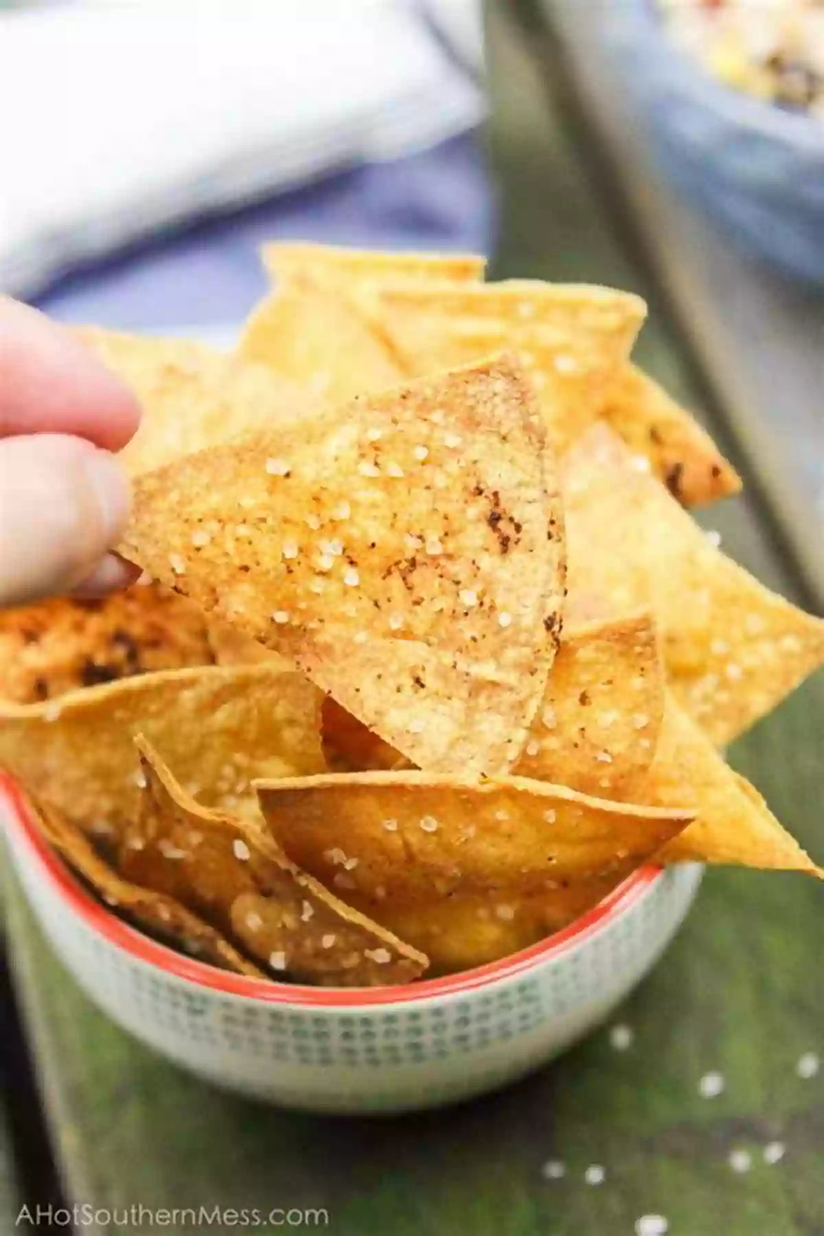 Homemade Tortilla Chips Seasoned With Salt, Chili Powder, And Garlic Powder Easy Tortilla Chip Recipes For Beginners: Basis For Tortilla Chip Recipes: Tortilla Chip Cooking Skills