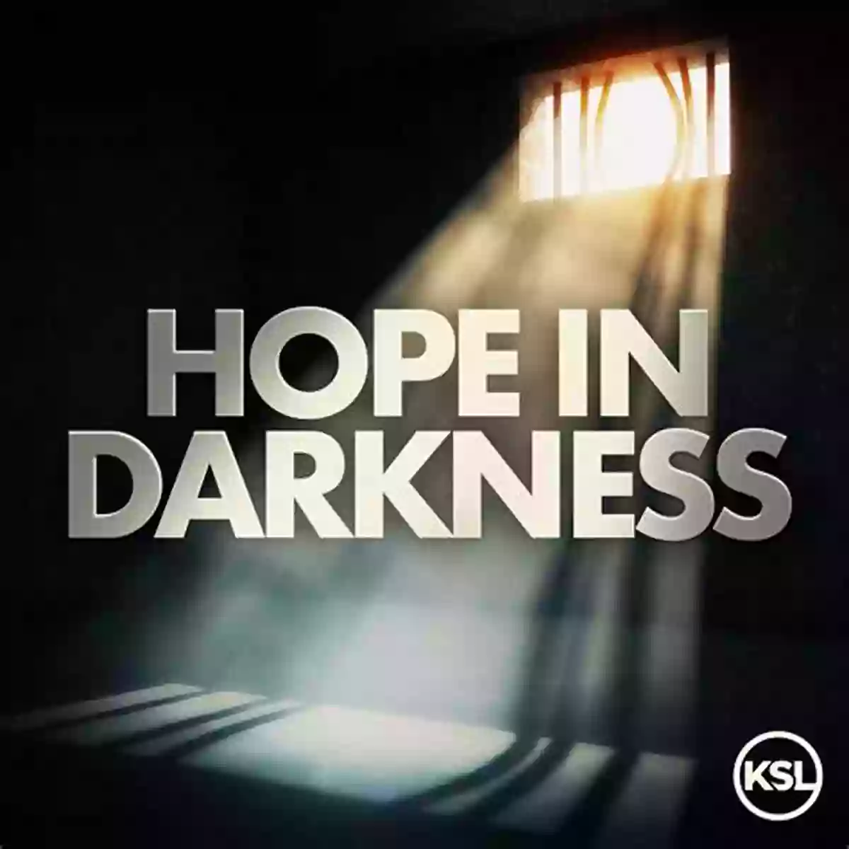 Hope In The Darkness: Becky And Steve's Inspiring Journey Beyond Words: Becky And Steve Schenck S Inspiring Story Of Faith Hope And Love In The Face Of Terminal Brain Cancer