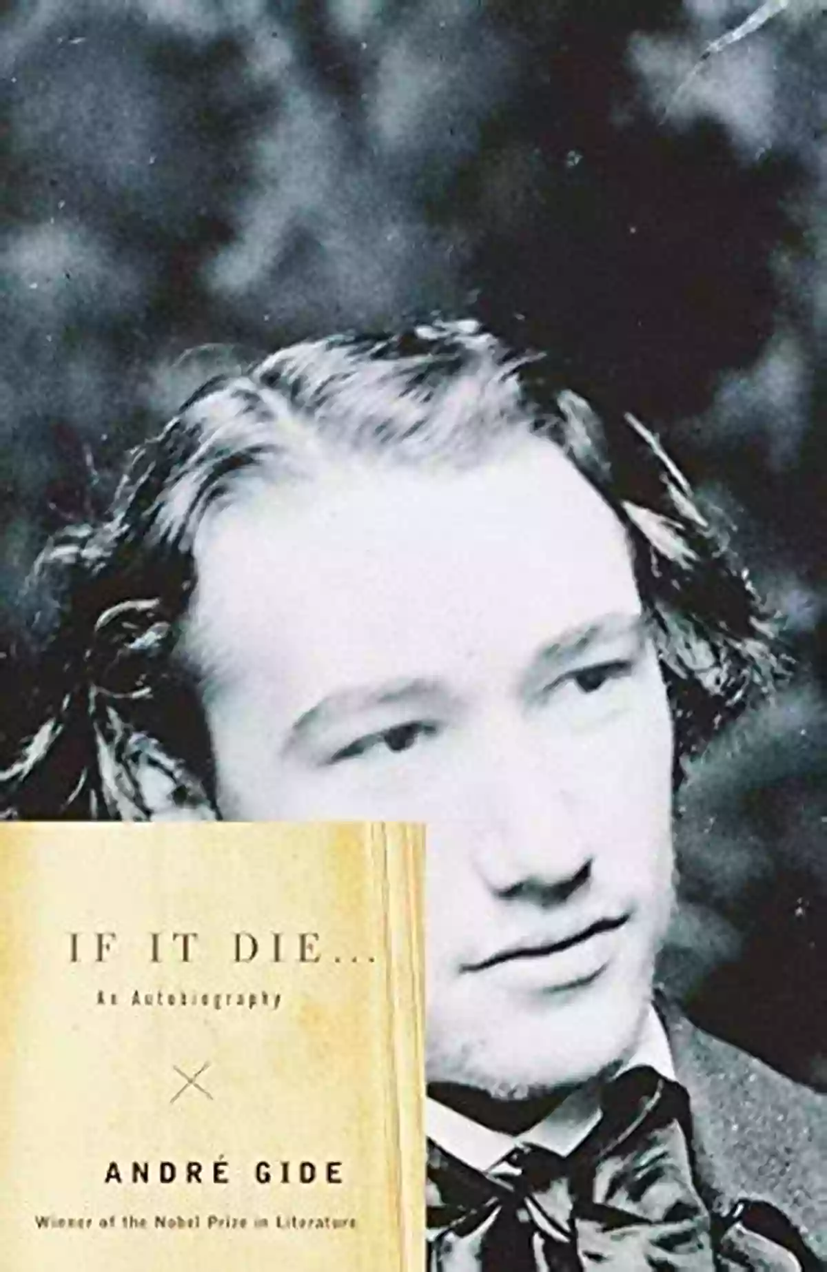 If It Die: An Autobiography Vintage International Book Cover If It Die: An Autobiography (Vintage International)