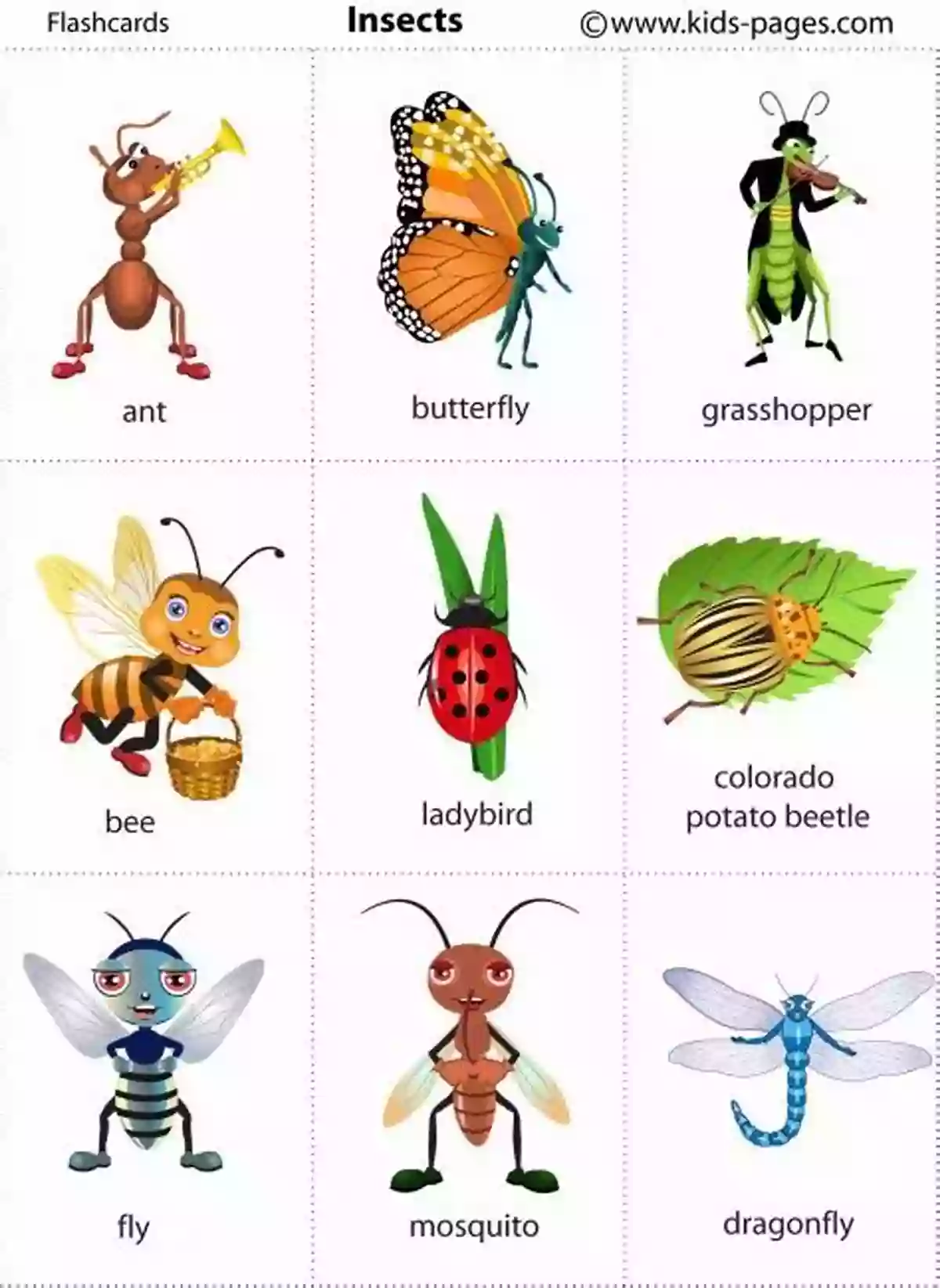 Illustrated Flashcards Of Animals And Insects For Language Learning Animals Insects: English French Illustrated Of Animals And Insects For Toddlers Pre Schoolers First Graders (I Want To Learn French T 1) (French Edition)