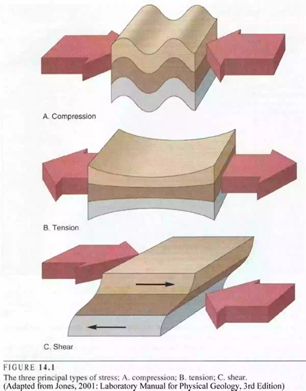 Illustration Of Stresses In Plates Stresses In Beams Plates And Shells: Theory And Analysis Fourth Edition (Applied And Computational Mechanics)