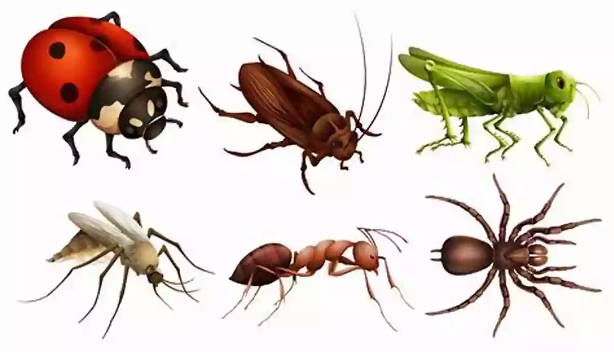 Illustration Of A Bug Grammar Tales: The Bug