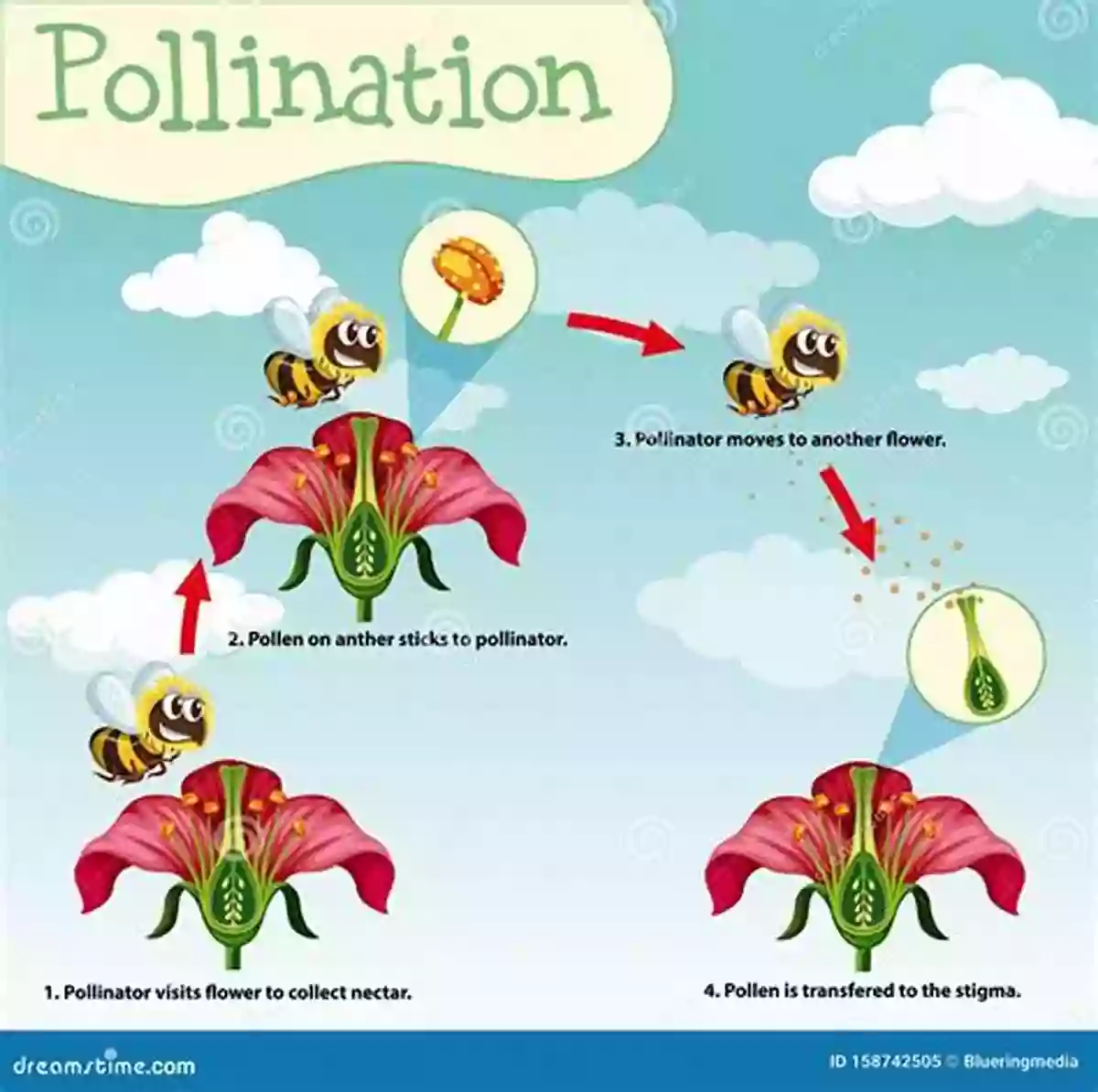 Illustration Of A Bee Pollinating A Flower Beehive Jorey Hurley