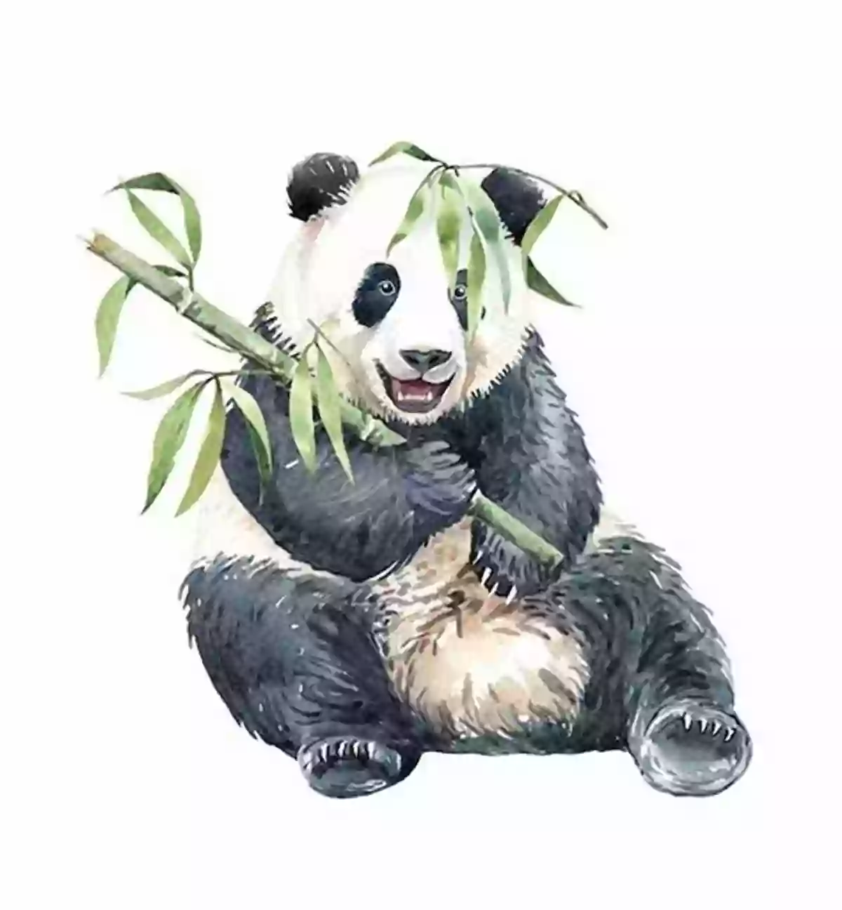 Illustration Of A Cute Giant Panda Eating Bamboo Visual Chinese Vocabulary Vol 3: Animals 3