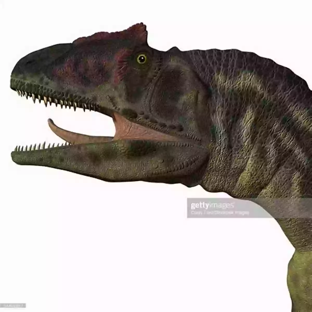 Illustration Of An Allosaurus A Dinosaur Alphabet: The ABCs Of Prehistoric Beasts (Alphabet Connection)