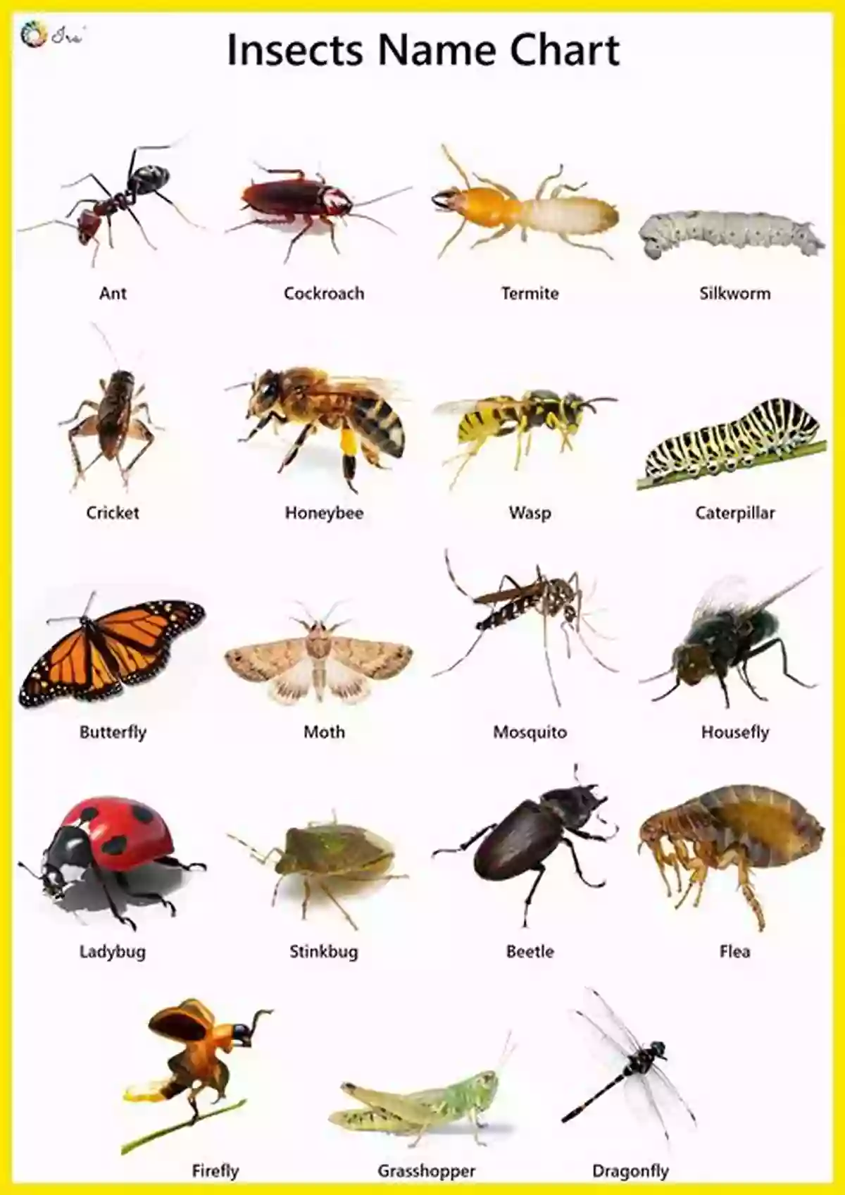 Illustration Of Animals And Insects For Toddlers And Pre Schoolers Animals Insects: English French Illustrated Of Animals And Insects For Toddlers Pre Schoolers First Graders (I Want To Learn French T 1) (French Edition)