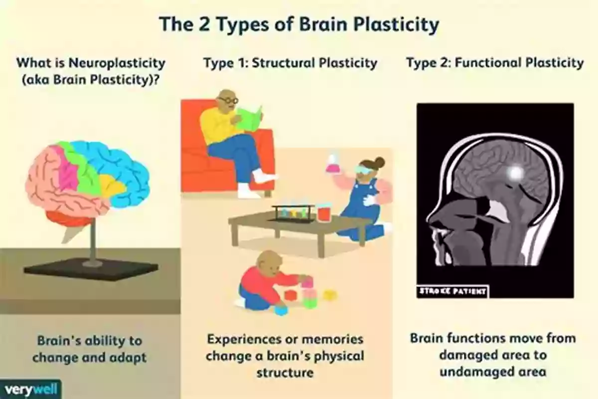 Illustration Of Brain Plasticity During Ritual The Wondering Brain: Thinking About Religion With And Beyond Cognitive Neuroscience