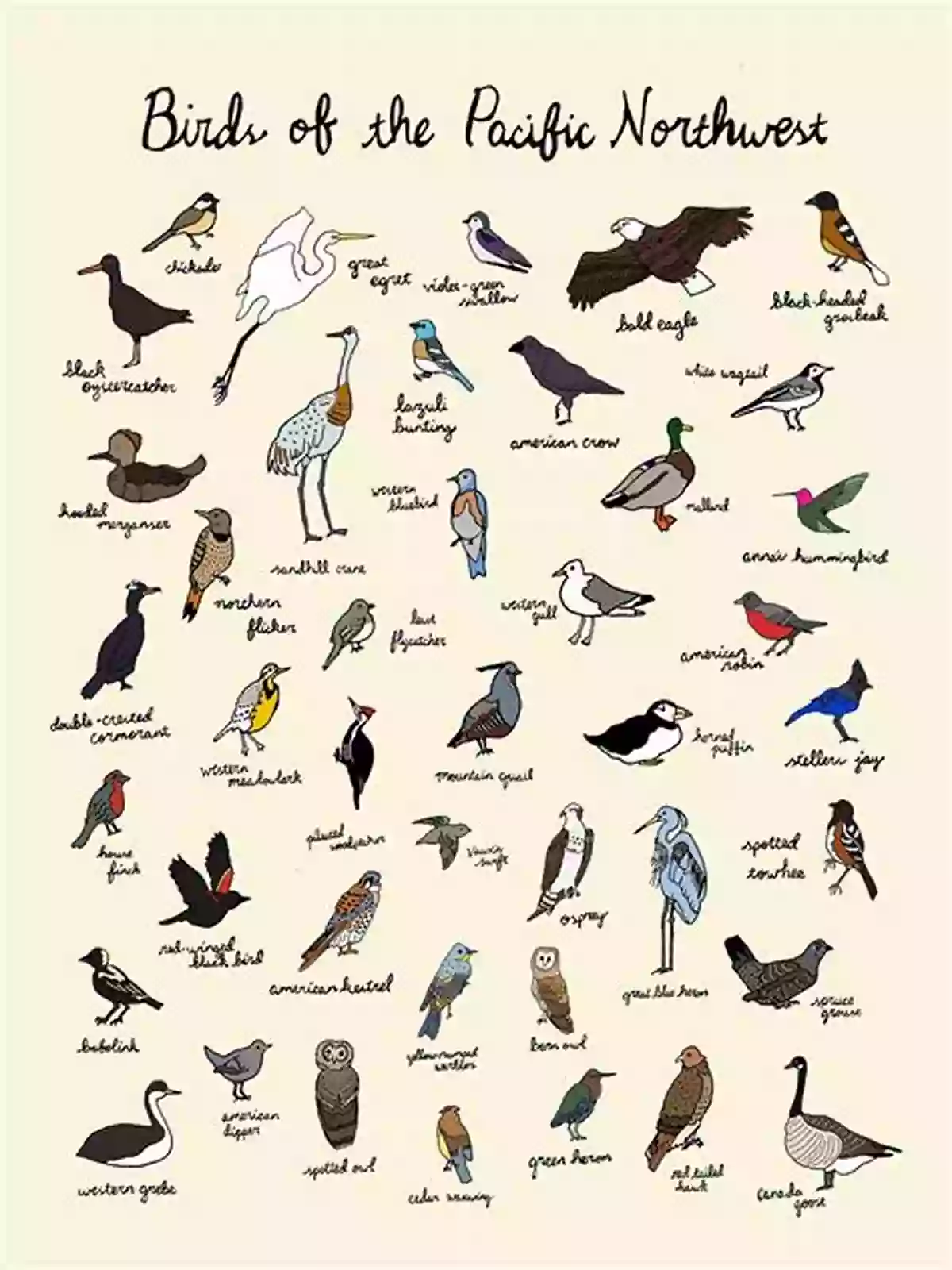 Illustration Of Upland Bird Species Uplands And Birds (Collins New Naturalist Library)