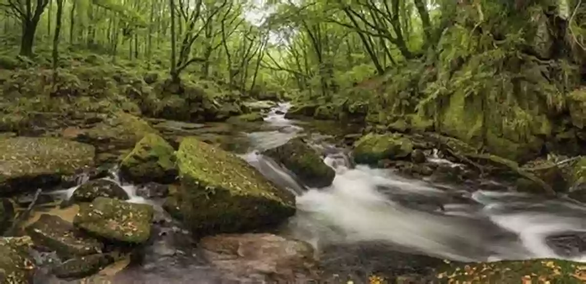 Image Depicting A Beautiful Flowing River Surrounded By Lush Greenery Anthropogenic Aquifer Recharge: WSP Methods In Water Resources Evaluation No 5 (Springer Hydrogeology)