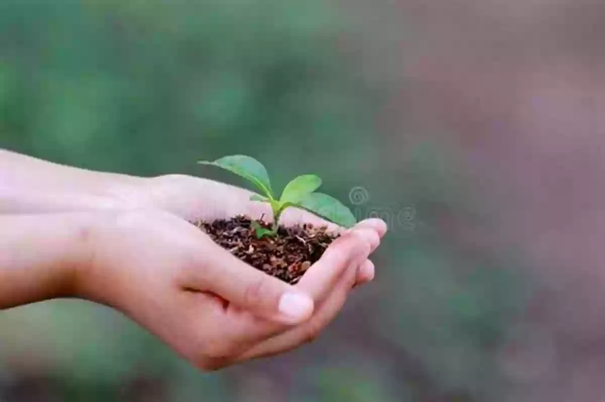 Image Of A Woman Planting Trees Changing The World One Tree At A Time Wangari Maathai: Get To Know The Woman Who Planted Trees To Bring Change (People You Should Know)