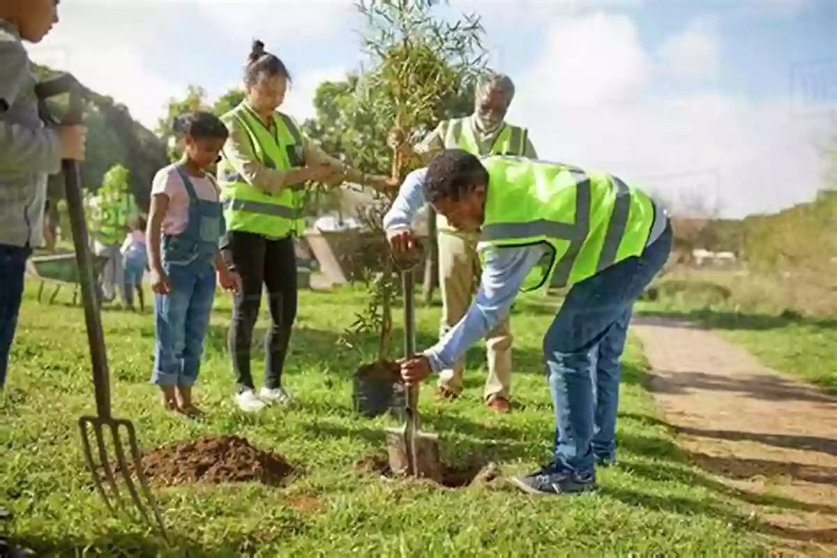 Image Of Volunteers Planting Trees In A Forest Forests: Discover Pictures And Facts About Forests For Kids