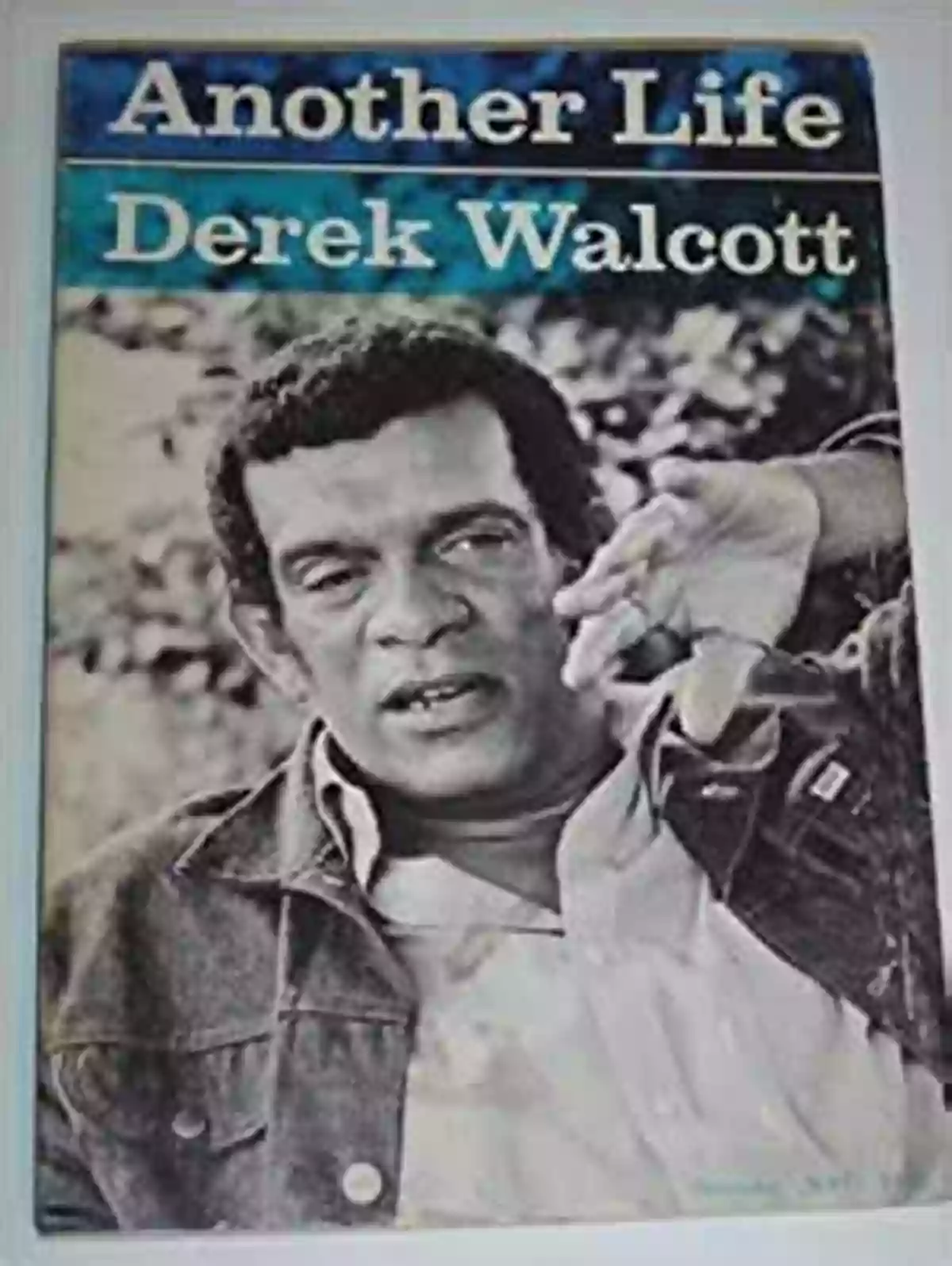 Inferno The Norton Library Derek Walcott Book Cover Inferno (The Norton Library) Derek Walcott