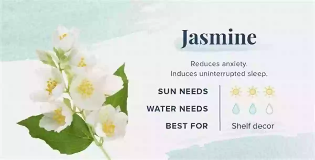 Jasmine Flowers For Improved Sleep Essential Oils Guide: Aromatherapy For Health Healing And Emotional Balance