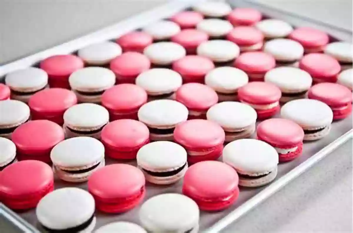 Jialin Tian's Macarons Displayed As Edible Art Macaron Magic Jialin Tian