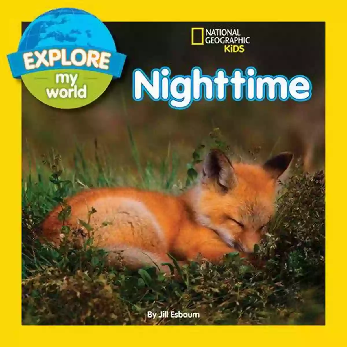 Jill Esbaum, Author Of Explore My World Nighttime Explore My World Nighttime Jill Esbaum