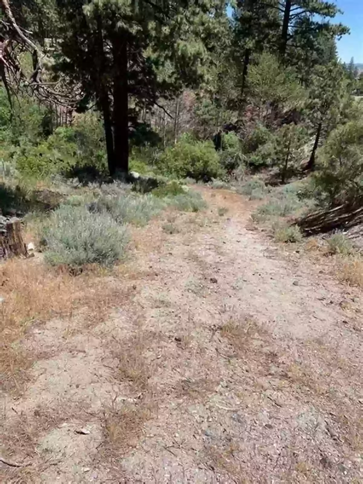 Johnson Cutoff The First Section Of Sierra Crossing Sierra Crossing: First Roads To California