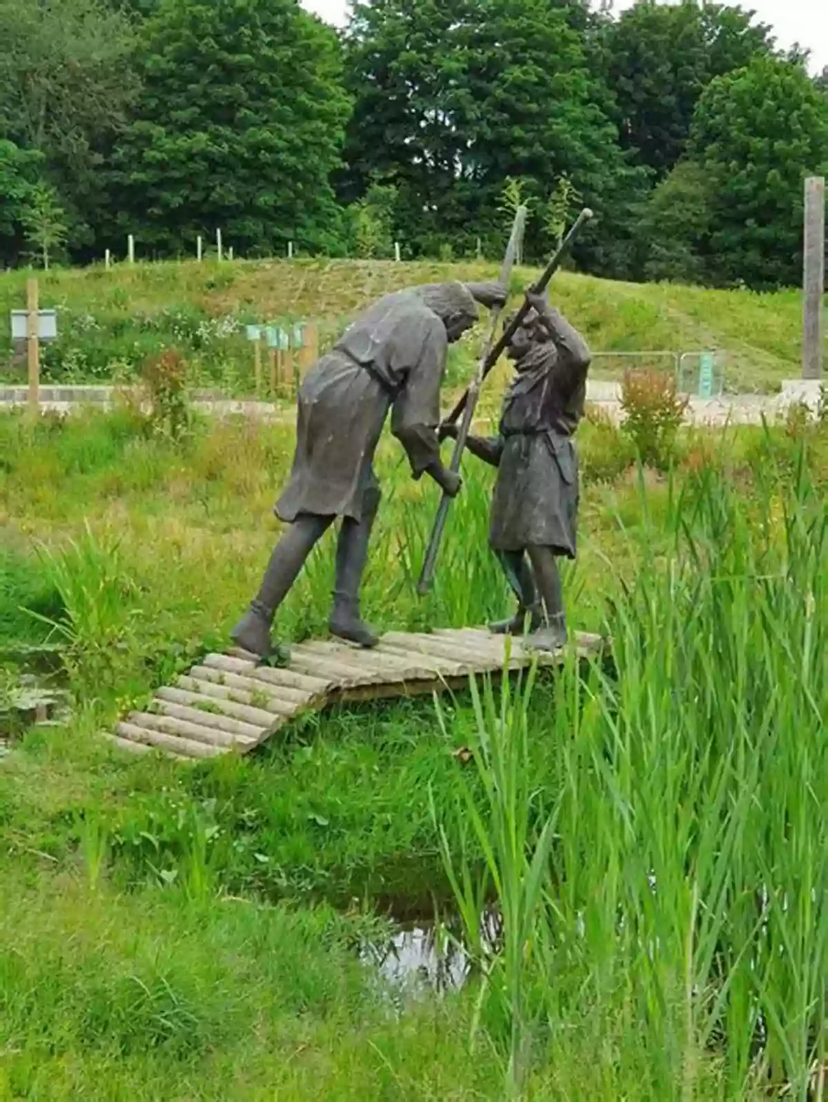 Kids Exploring The Ancient Sherwood Forest A Kid S Guide To England