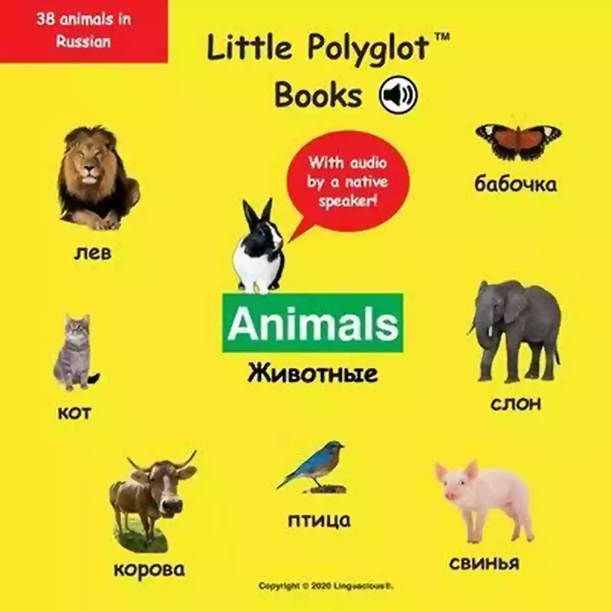 Koshka Cat Animals Russian Vocabulary Picture (with Audio By A Native Speaker )