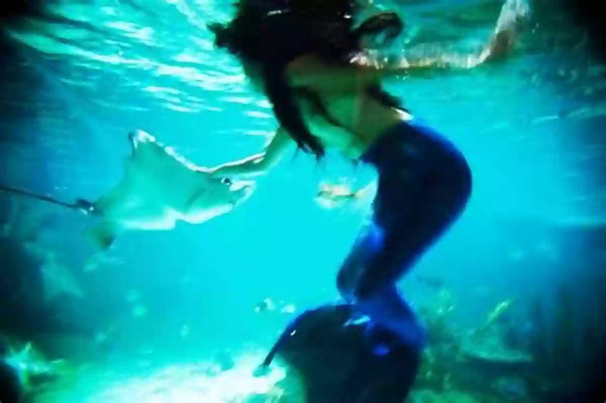 Learn To Count 10 Cute Mermaid Pictures For Kids Picture 7: Mermaid Exploring A Coral Reef Count The Mermaids : Learn To Count 1 10 Cute Mermaid Picture For Kids