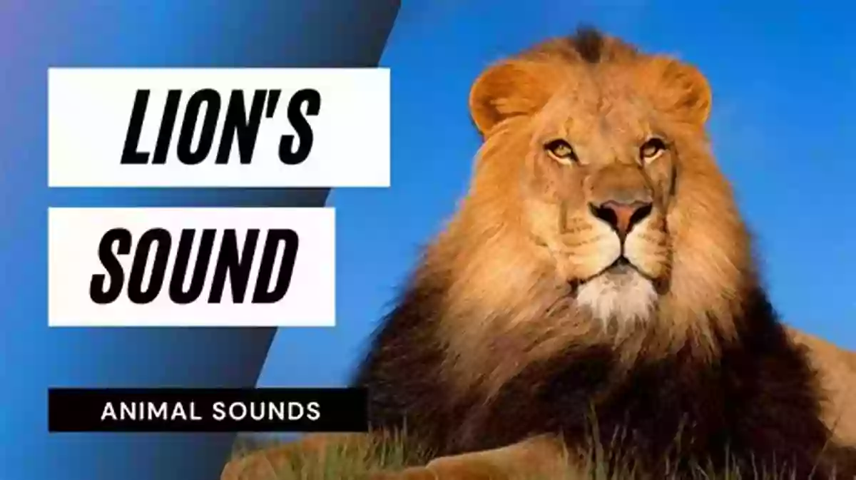 Lions Wild Animal Sounds: My First