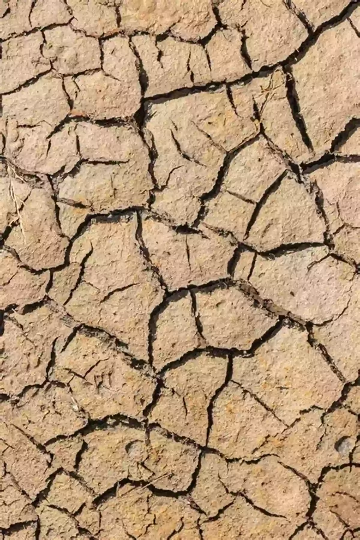 Long Dry Cracked Land Suffering From Severe Drought What Are Droughts? (Wicked Weather)