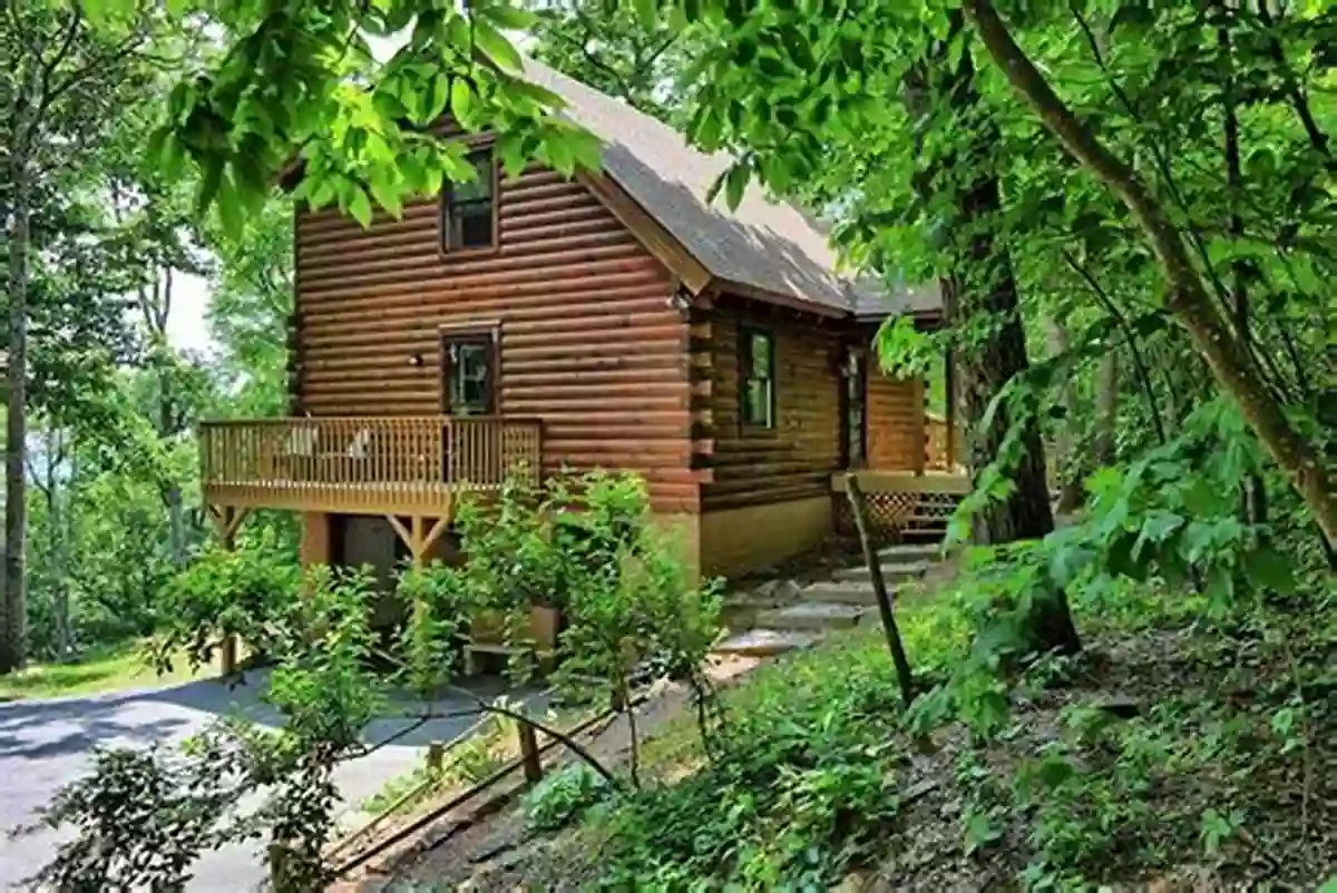 Lush Woods Surrounding A Beautiful Cabin The Cabin: A Search For Personal Sanctuary