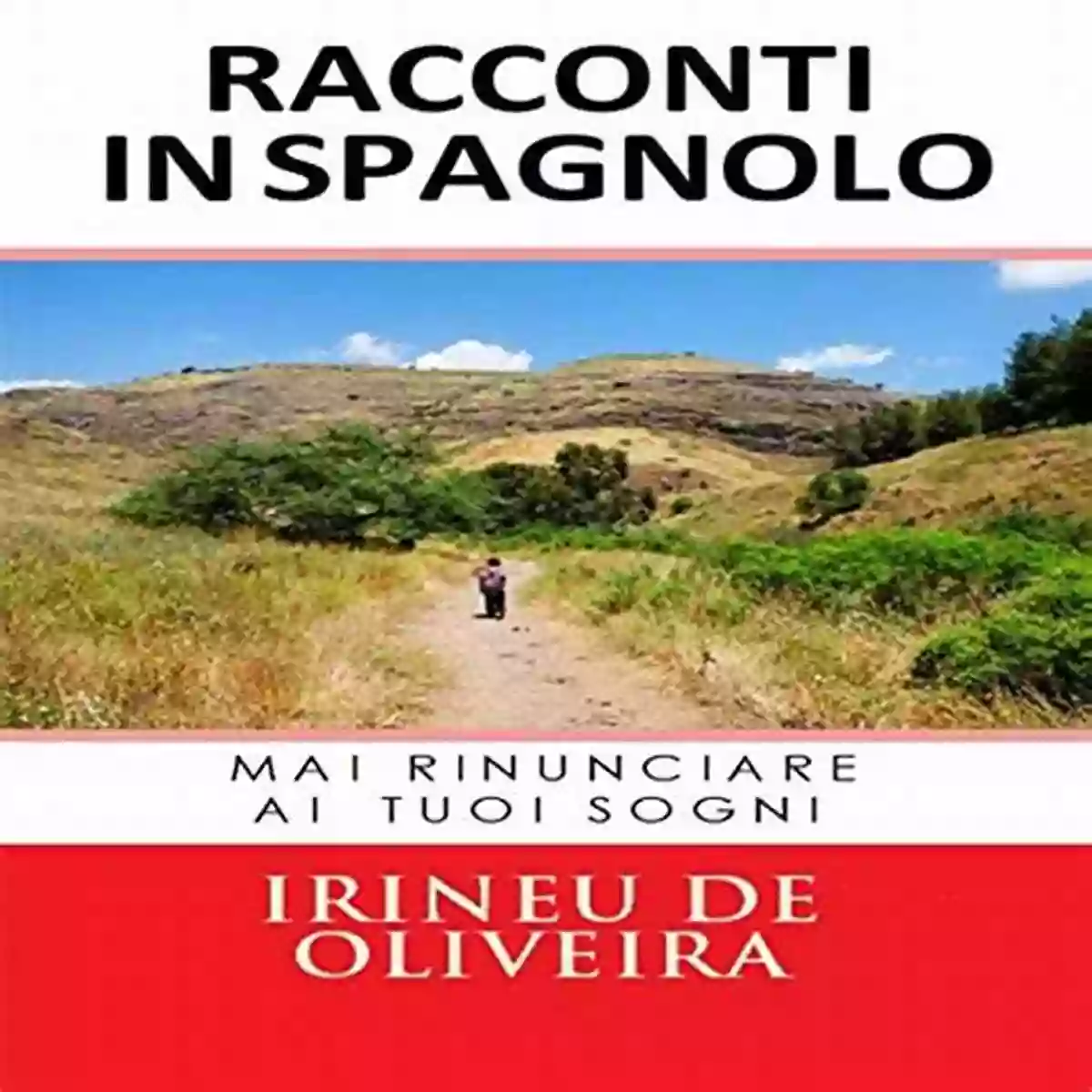 Mai Rinunciare Ai Tuoi Sogni Stories In Spanish Racconti In Spagnolo: Mai Rinunciare Ai Tuoi Sogni Stories In Spanish: Never Give Up Your Dreams