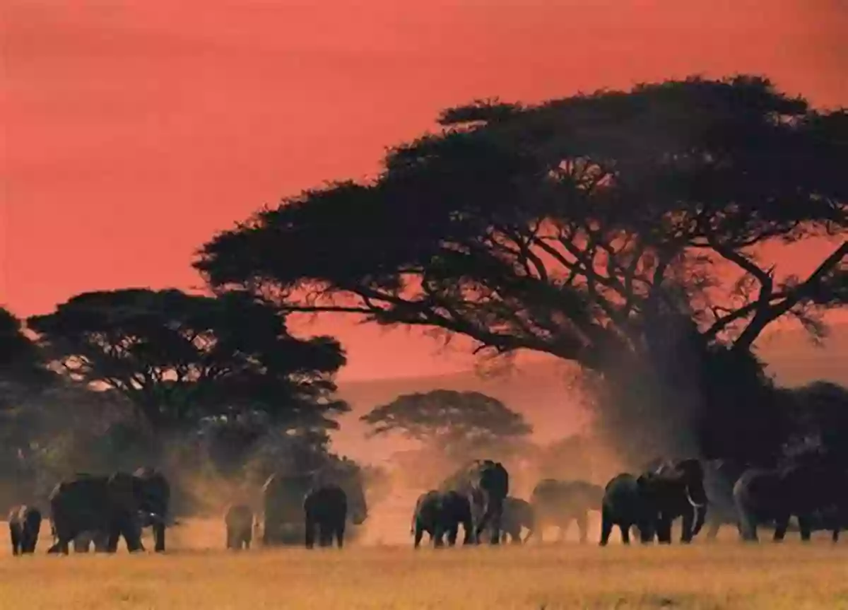 Majestic Elephants Marching In Unity A To Z Animals: Animal Picture