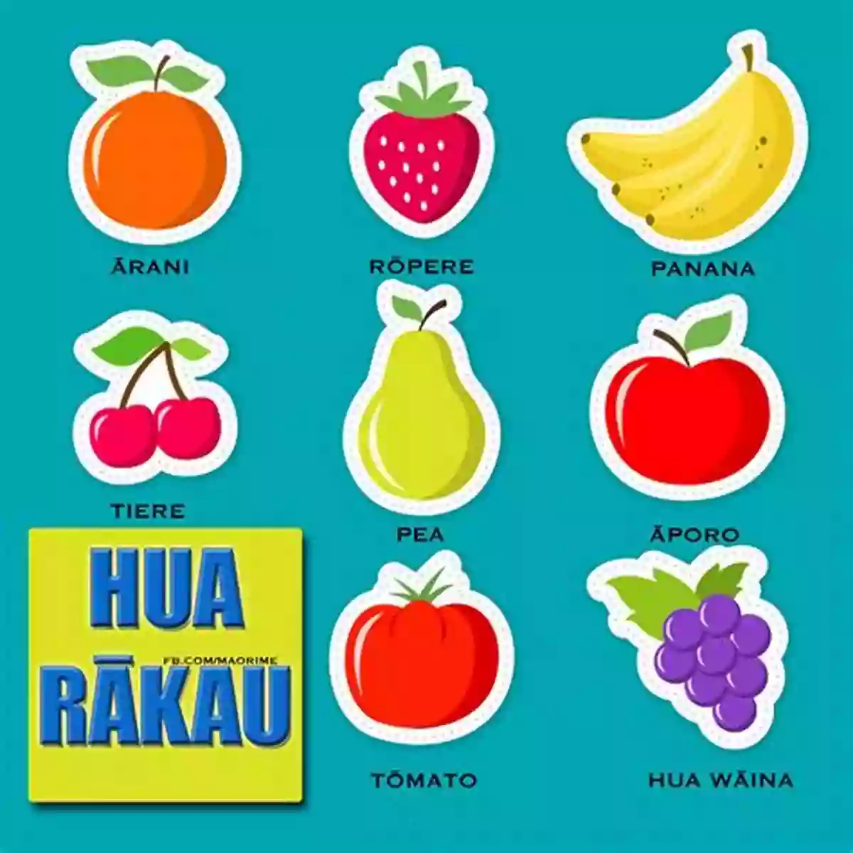 Maori Fruit Tawa Learn Maori For Kids: Fruit And Vegetables