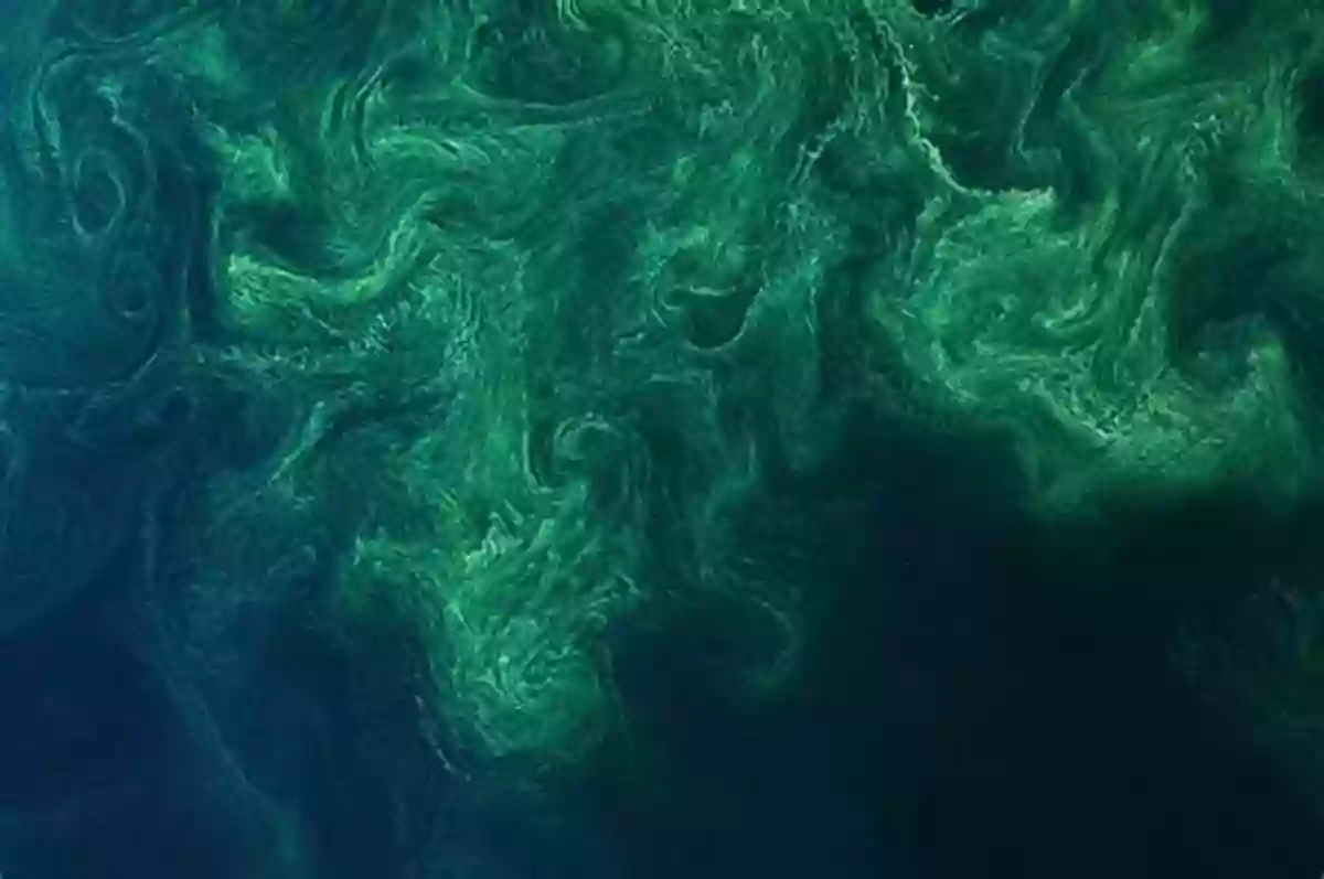 Marveling At The Colorful Phytoplankton Blooms W Is For Waves: An Ocean Alphabet (Science Alphabet)