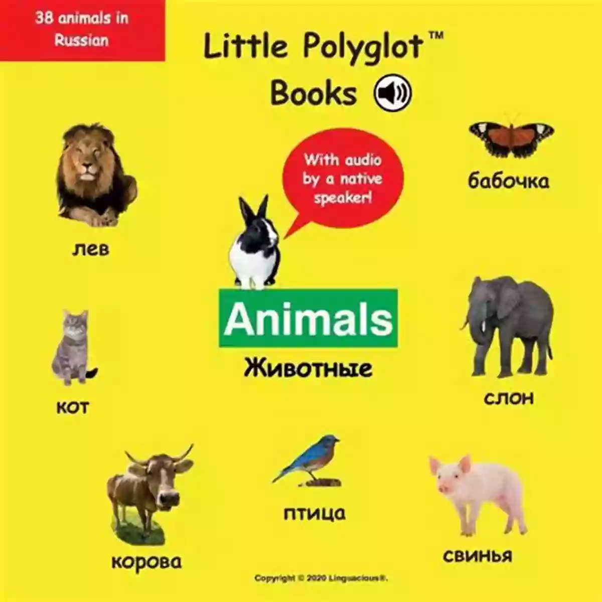 Medved' Bear Animals Russian Vocabulary Picture (with Audio By A Native Speaker )